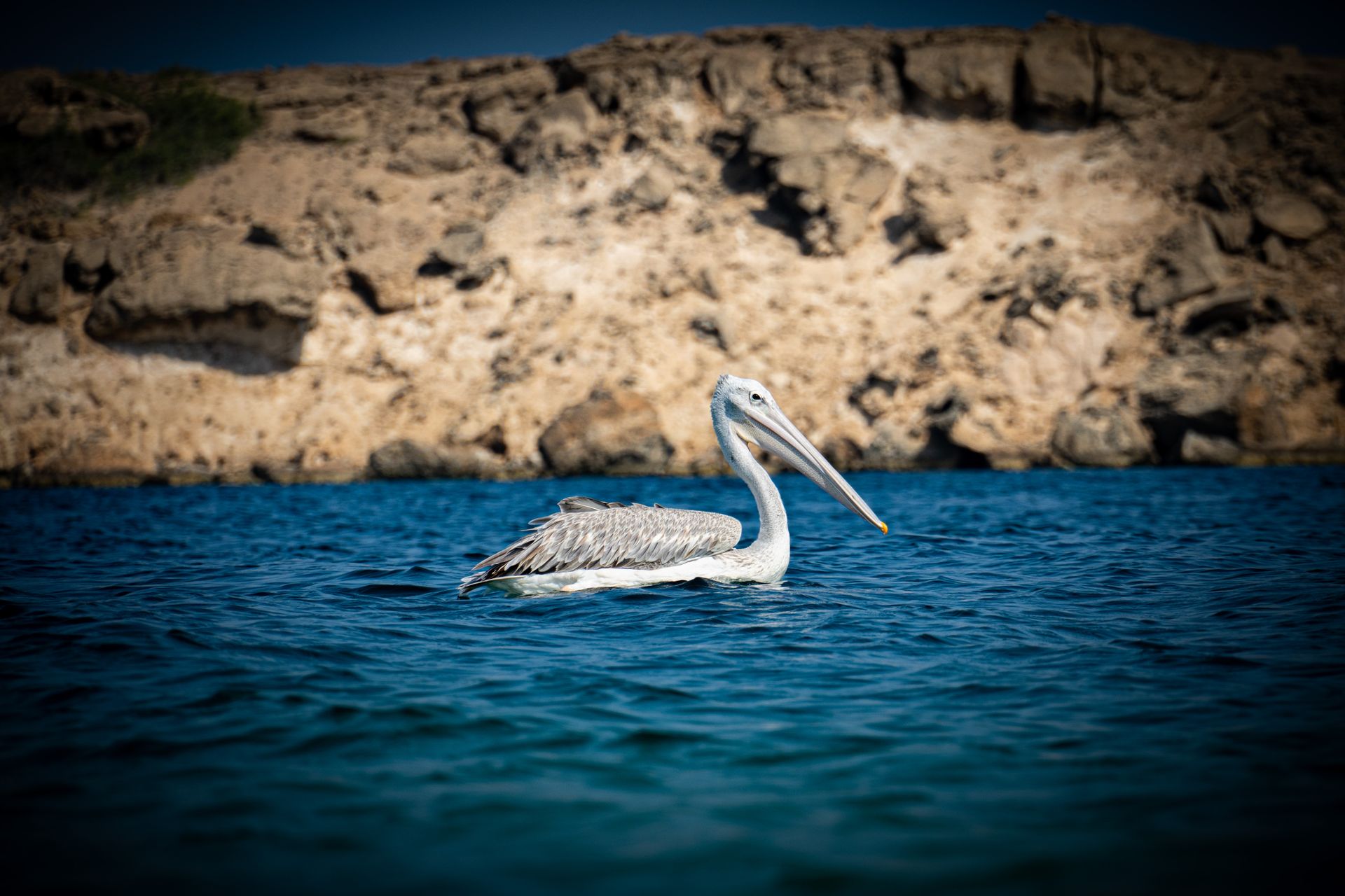 Farasan Islands