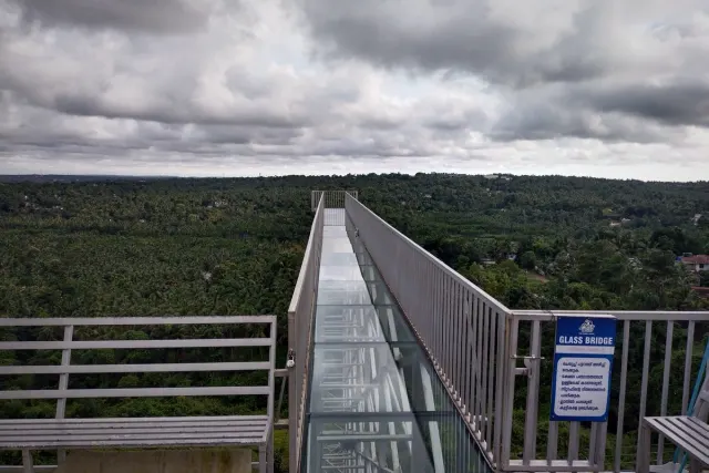 Glass-floored bridge over a forested valley