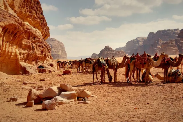Camels in a desert valley below sandstone cliffs